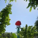 익산시 노인종합복지관 | 논산시노인종합복지관 응급처치교육｜논산가족시민공원 산책까지_0515