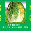 알타리절임 10kg 20000원 이미지