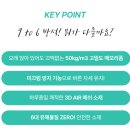 [사무실 방석 추천] 나인투식스(9to6) 방석 사용해본 후기!