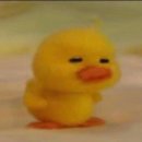 함상명 복싱클럽 이미지