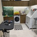 펫살롱 | 광주애견미용,첨단애견미용잘하는 곳 광주 말티즈 미용후기 핫도그 펫살롱첨단