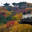 수원 가볼만한곳 경기도 늦가을 여행지 수원화성 이미지