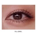 태륜 이미지