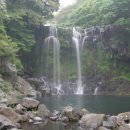 천제연폭포 이미지