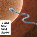 기가솔솔