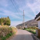 몽도 게스트하우스 이미지