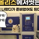 올리스 펫 호텔 이미지