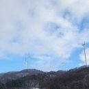 별바우목장 | 견생 첫 강릉여행🌊🐶