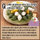 머드러기 이미지