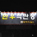 태백하늘소