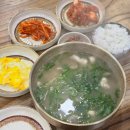 정원칼국수 - 수원시 팔달구 월드컵로311번길 11-3 | 포천 가성비 한식 밥집 정원칼국수 닭곰탕 내돈내산 혼밥 후기