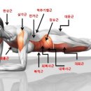 팀JJ피트니스 대곡점 이미지