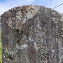 칠장사 부도군 이미지