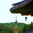 월정사 - 1011 | 월정사