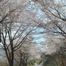 해뜰목장 | 하동 "해뜰목장" 봄 아기랑 목장체험 후기