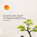 송죽 이미지
