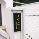 라벤더코지 이미지