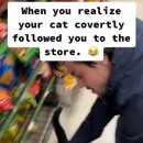 장보러마트 이미지