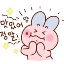 춘자식품 네이버블로그