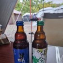 가평 그린콩캠핑장 이용 후기. 사이트 넓고 조기 기상 가능.^^