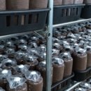 월광농장 이미지