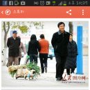 파트라슈 Daum카페