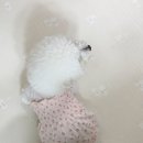 룰루멍 이미지