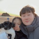 펫츠월드 이미지