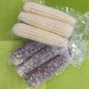 원주 관설동 맛집 더함집 낙곱새 곱창전골 후기 내돈내산