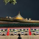 2023-03-0403 | 아이랑 대만 여행 코스 • 보피랴오 거리 / 용산사 점괘 해석 / 화시지예 야시장 미슐랭 왕스 브로스...
