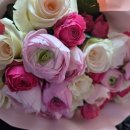 새경산꽃직판장 이미지