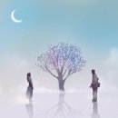 꽃아줌마