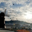 엑스포대로,오동도로 이미지