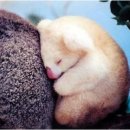 (주)알비노 이미지