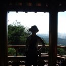 입화산참살이숲 이미지