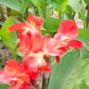 양재근린공원 이미지