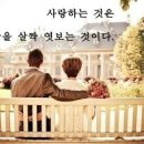 어니언스 이미지