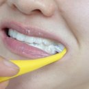 주식회사 퓨어 | 시린이 구취 한 번에 잡는 퓨어티스 잇몸치약 일주일 사용 솔직 후기 🤍