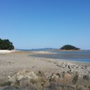 때뿌루민박 이미지