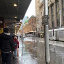 포포(For paw) | 호주 기념품 쇼핑, 임산부 필수템부터 영양제까지 케미스트 웨어하우스 정복기