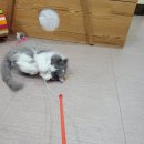 호텔레오 이미지