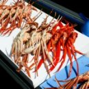 무안군 관광안내소 이미지