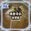 모현국수 | 익산 잔치국수 맛집 '부송국수 모현점' 내돈내산 후기 (양 선택 가능·약계란 별미)