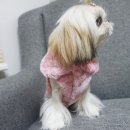 핑크멍 이미지