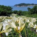 전북산림환경연구소(산림청) 이미지