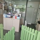 동물병원 Dr.정 | 성남 상대원동 동물병원 정동물병원 진료시간 접근성 이용후기
