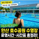 호수공원 실내수영장 | 안산호수공원수영장 자유수영 강습 한눈에 확인하기
