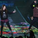 으르렁대 이미지