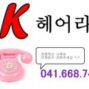 호수헤어라인 네이버블로그