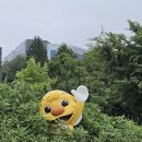 왕송호수 산책로(정자) | 수도권 가볍게 산책하기 좋은 곳 - 의왕 왕송호수 여름 방문 후기 &amp; 정보 정리